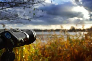 Birdwatching This Fall Near Devils Lake State Park in Baraboo, Wisconsin