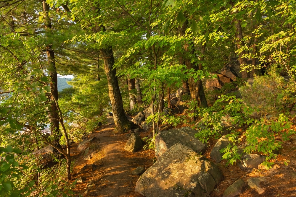 Tumbled Rocks Trail at Devils Lake State Park Wisconsin
