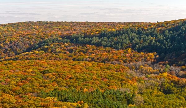 Birdwatching This Fall Near Devils Lake State Park in Baraboo, Wisconsin