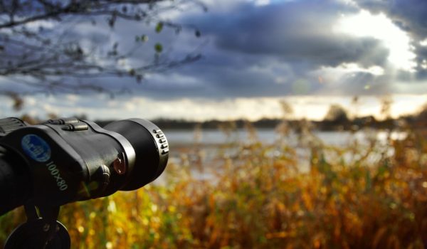 Birdwatching This Fall Near Devils Lake State Park in Baraboo, Wisconsin