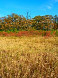 Scenic Drive near Devils Lake State Park